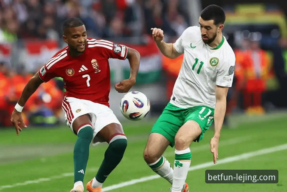 世界杯洲际附加赛深度剖析：民主刚果52年后重返巅峰，乐竞体育平台全程见证绝杀时刻